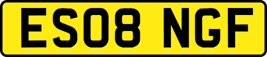 ES08NGF