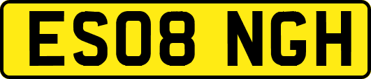 ES08NGH