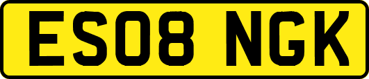 ES08NGK