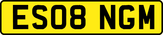 ES08NGM