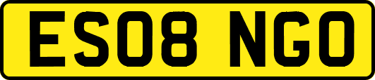 ES08NGO