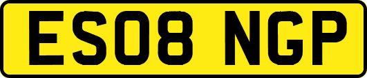 ES08NGP