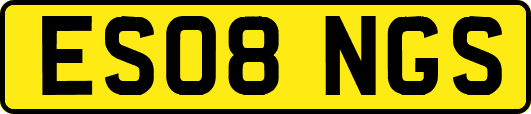 ES08NGS