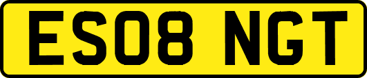 ES08NGT