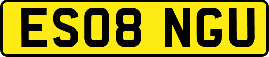 ES08NGU