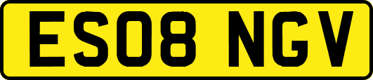 ES08NGV