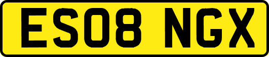 ES08NGX