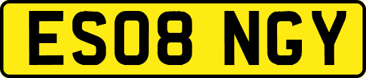 ES08NGY