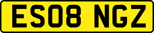 ES08NGZ
