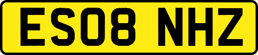 ES08NHZ