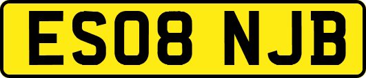 ES08NJB