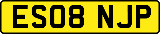 ES08NJP