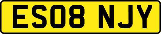 ES08NJY
