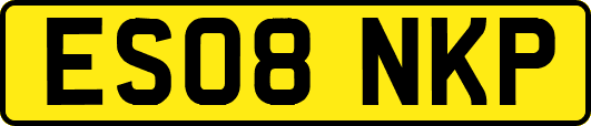 ES08NKP