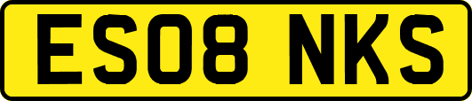 ES08NKS
