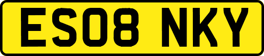 ES08NKY