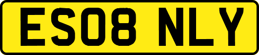 ES08NLY