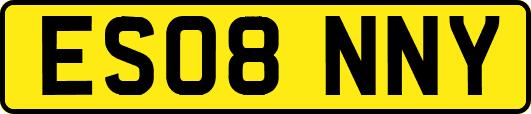 ES08NNY