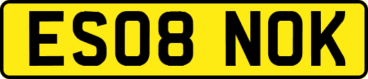 ES08NOK