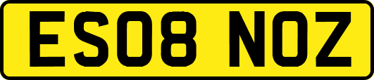 ES08NOZ