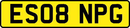 ES08NPG