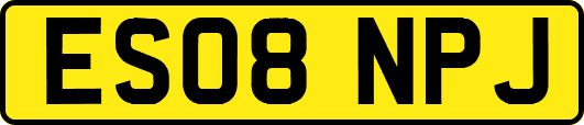 ES08NPJ