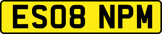 ES08NPM