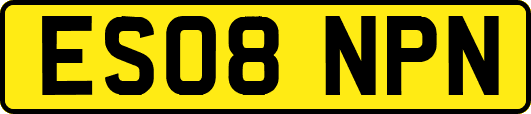 ES08NPN
