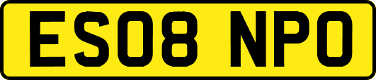 ES08NPO