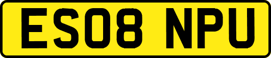 ES08NPU