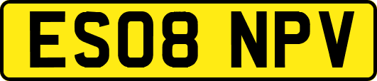 ES08NPV