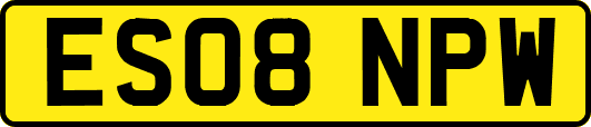 ES08NPW