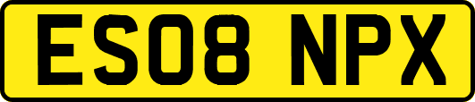 ES08NPX