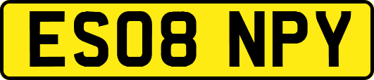 ES08NPY