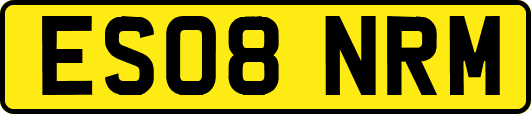 ES08NRM
