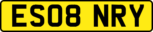 ES08NRY