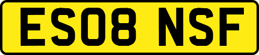 ES08NSF