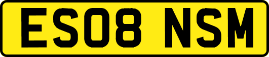 ES08NSM