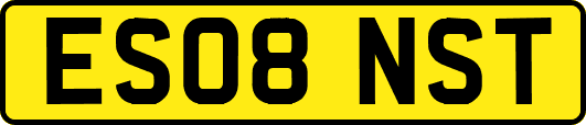 ES08NST
