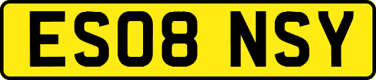ES08NSY
