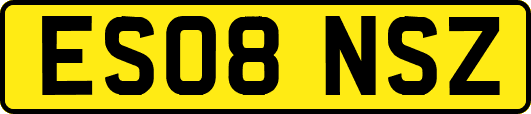ES08NSZ