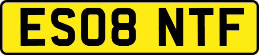 ES08NTF