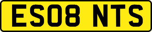 ES08NTS
