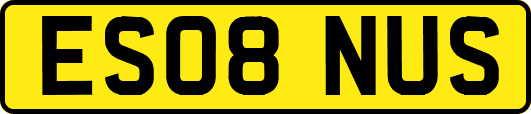ES08NUS
