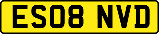 ES08NVD