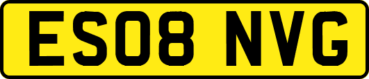 ES08NVG