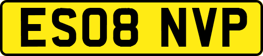 ES08NVP