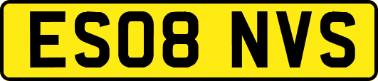 ES08NVS