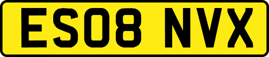 ES08NVX