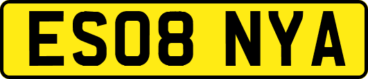 ES08NYA